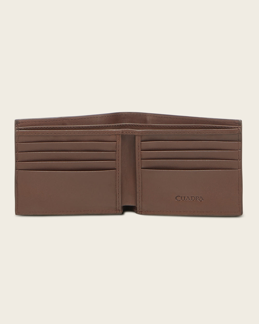 BC047AL_MIEL-alligator-MO-03_1000x.jpg