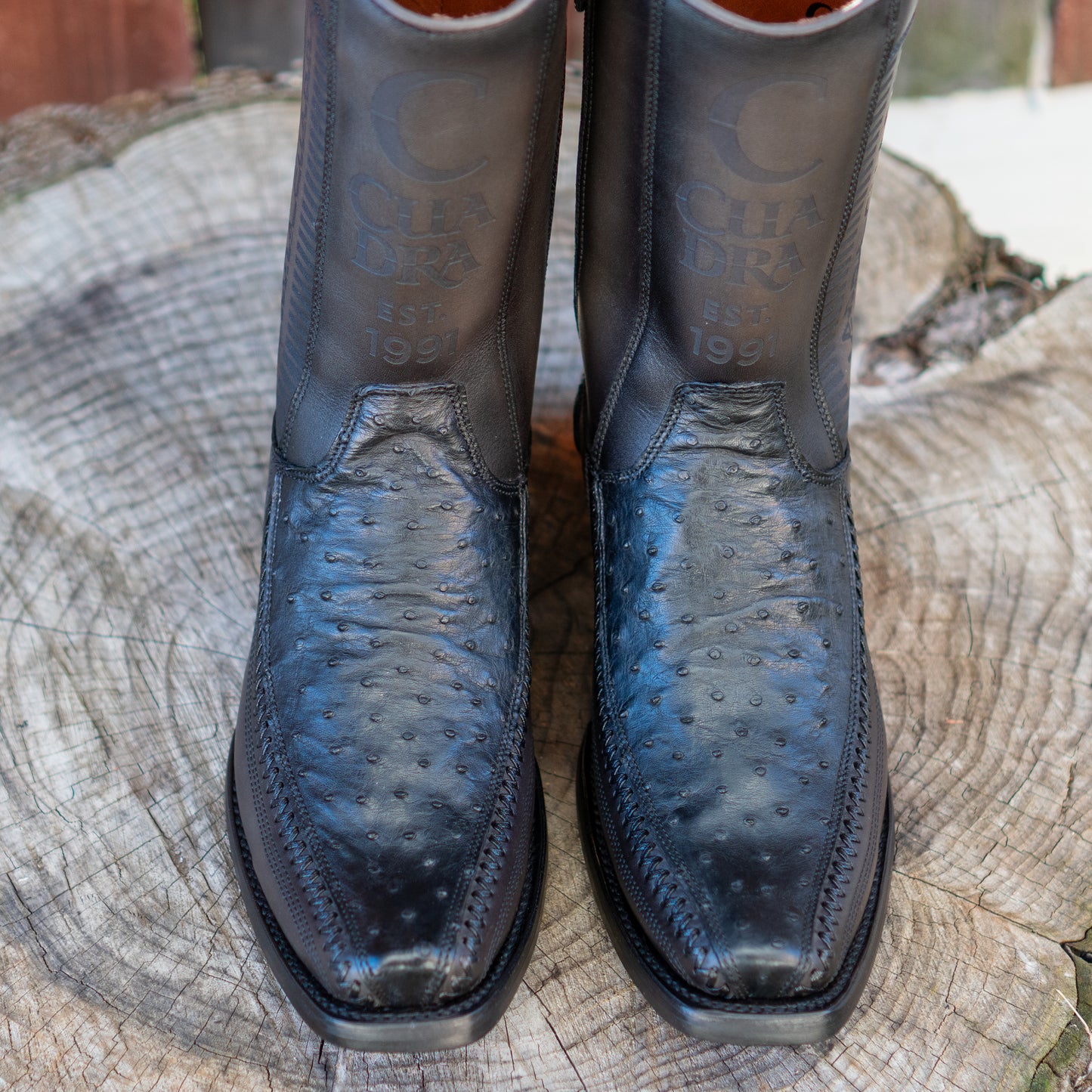 Cuadra Men's Ostrich Laser And Embroidery Narrow Square Toe Cowboy Boots in Black