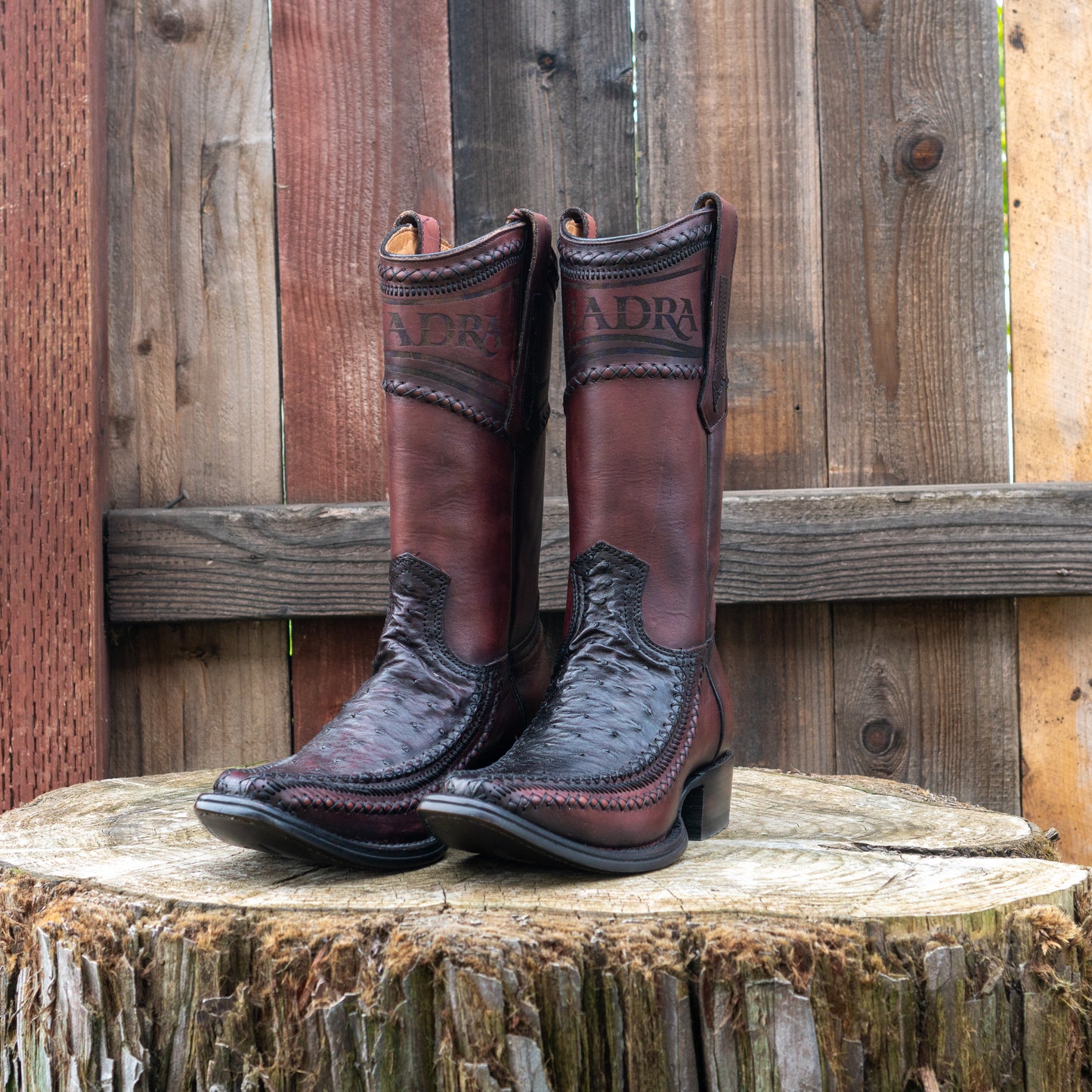 Cuadra Men's Ostrich Cowboy Boots in Blackcherry