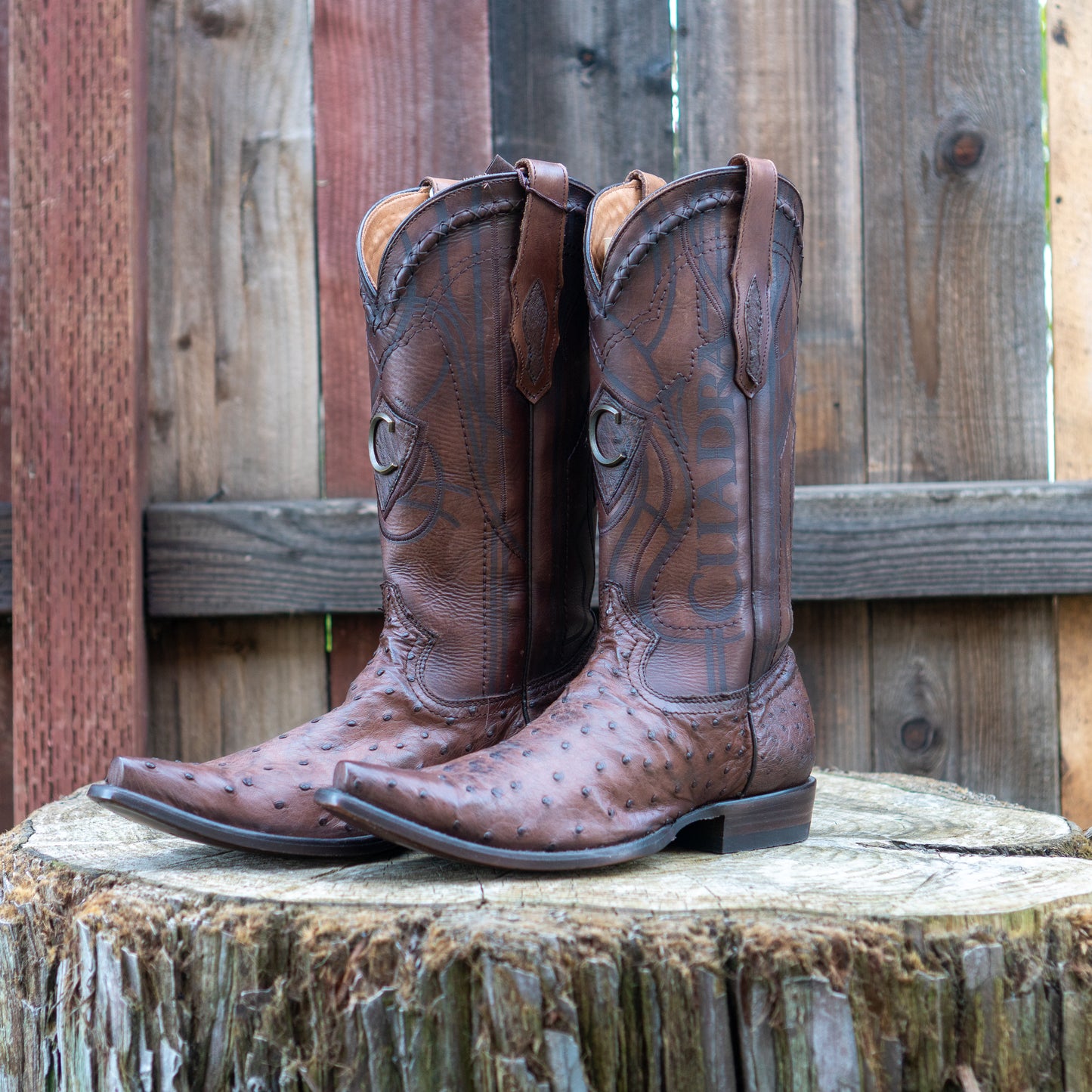 Cuadra Men's Ostrich Cowboy Boots in Chocolate