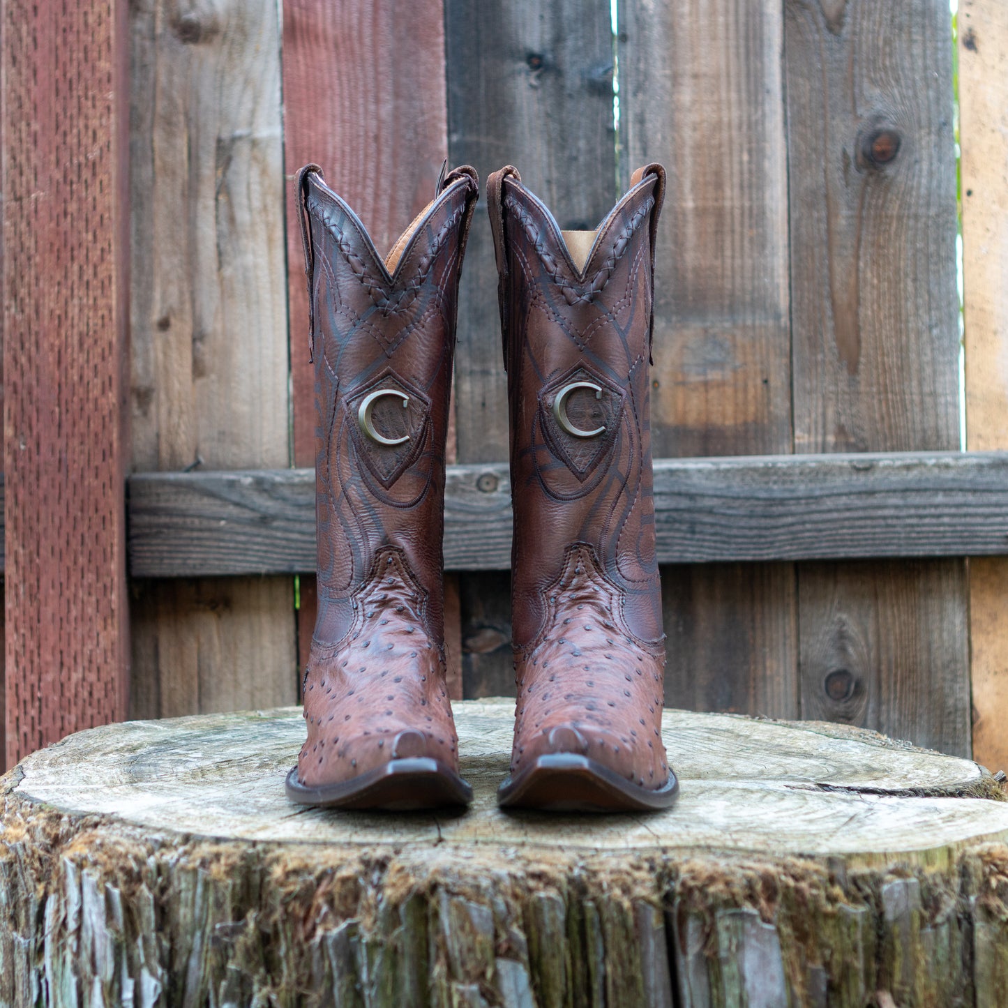 Cuadra Men's Ostrich Cowboy Boots in Chocolate
