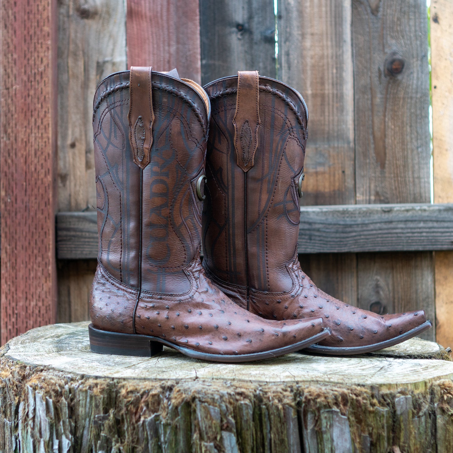 Cuadra Men's Ostrich Cowboy Boots in Chocolate