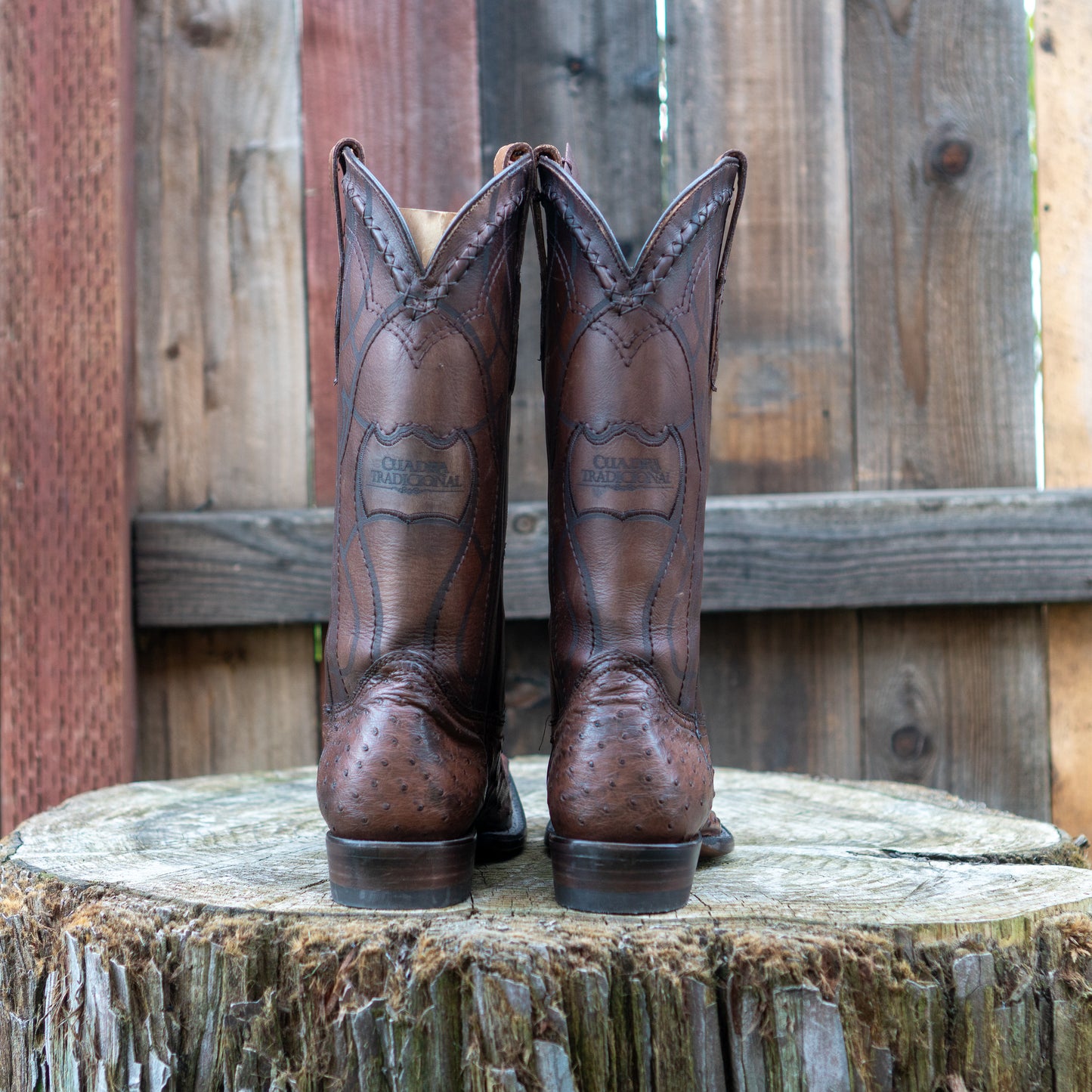 Cuadra Men's Ostrich Cowboy Boots in Chocolate