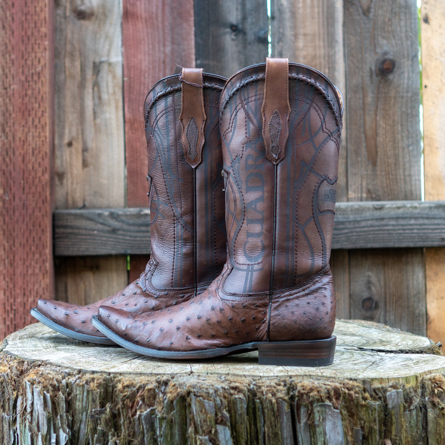 Cuadra Men's Ostrich Cowboy Boots in Chocolate