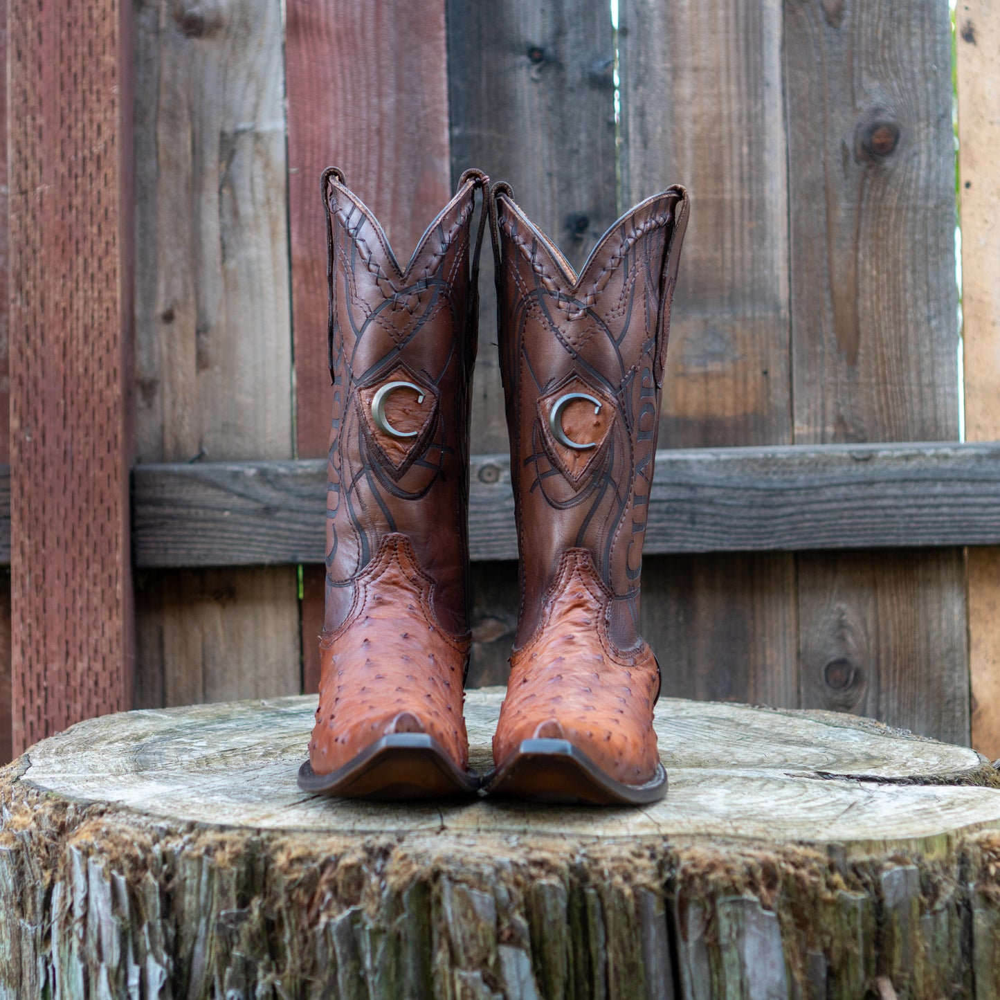Cuadra Men's Ostrich Cowboy Boots in Brown