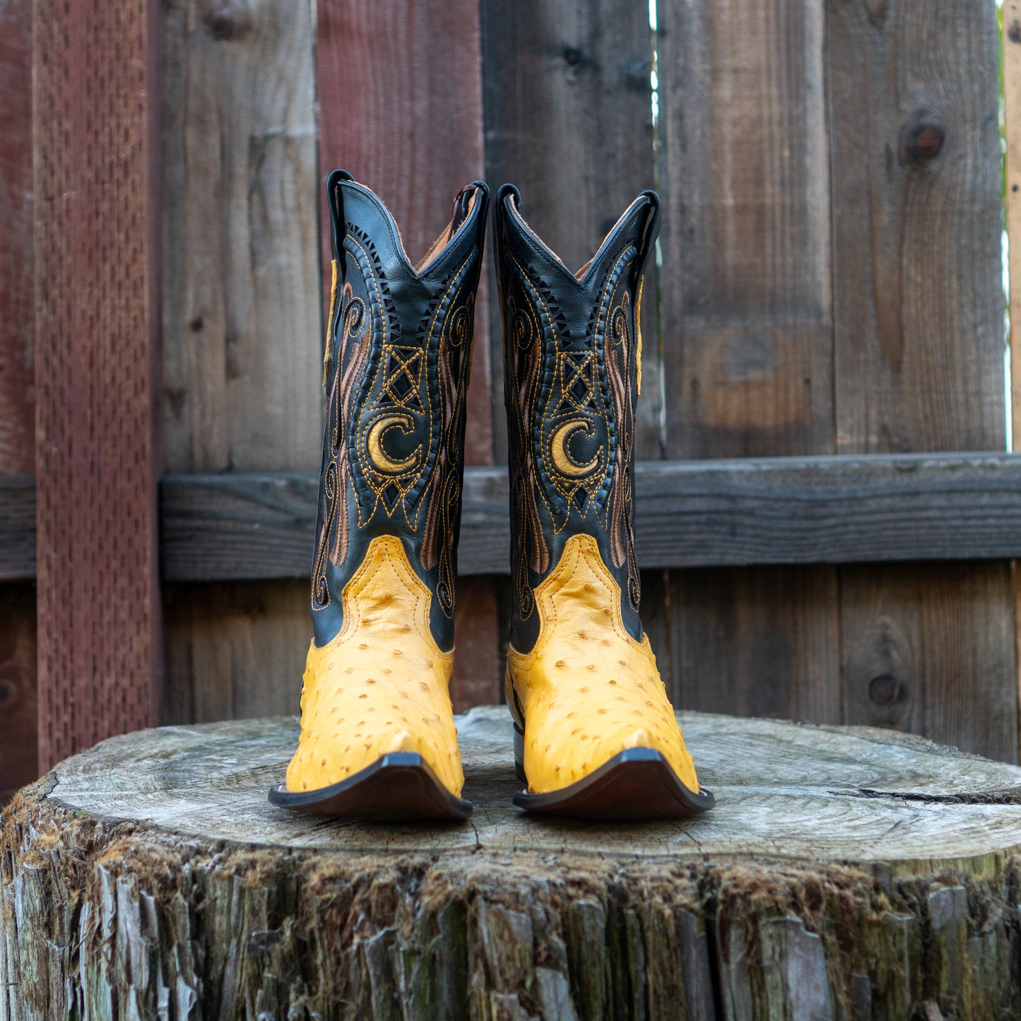 Cuadra Men's Ostrich Cowboy Boots in Yellow