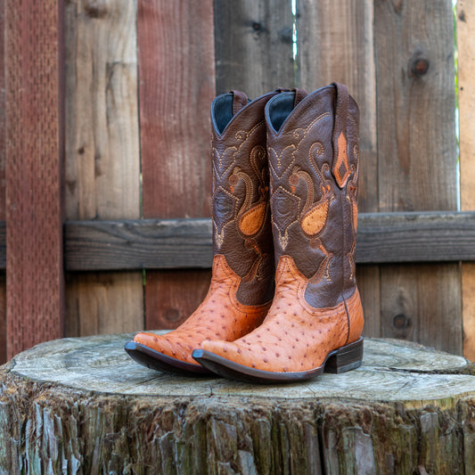 Cuadra Men's Ostrich Cowboy Boots in Honey