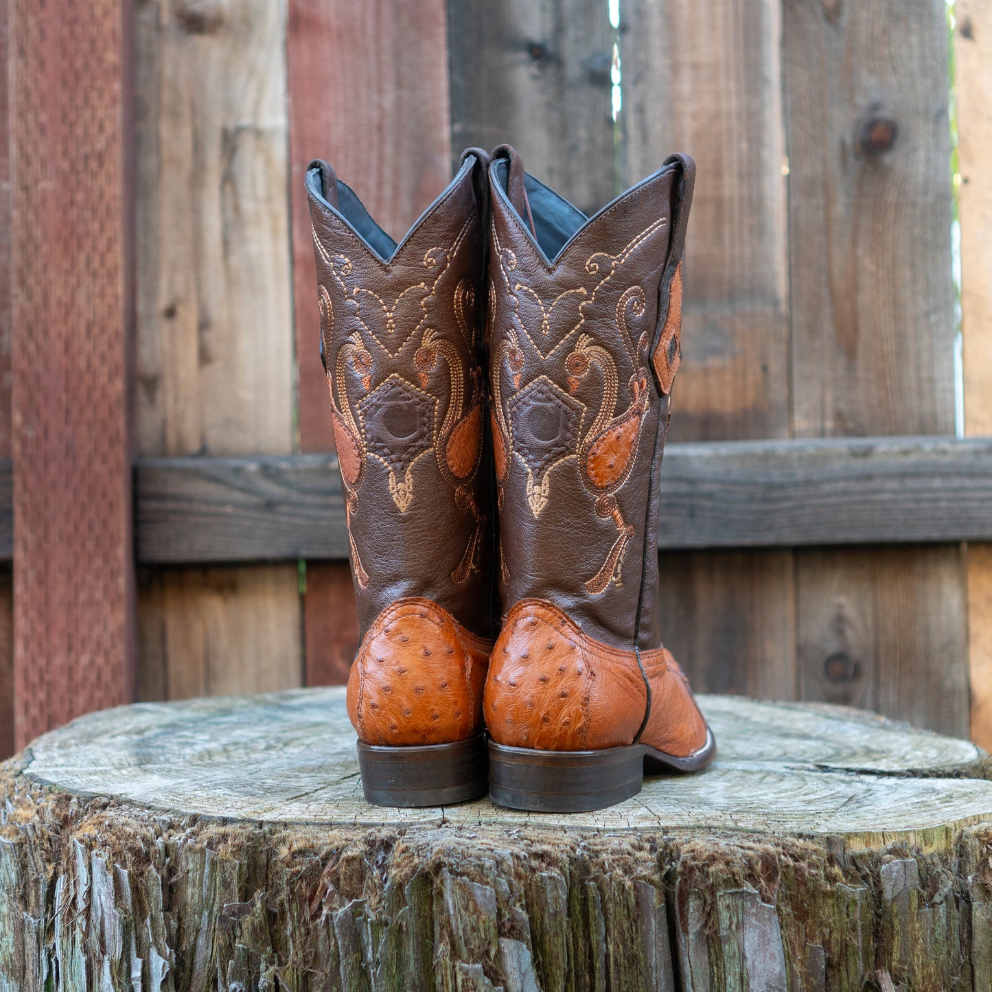 Cuadra Men's Ostrich Cowboy Boots in Brandy