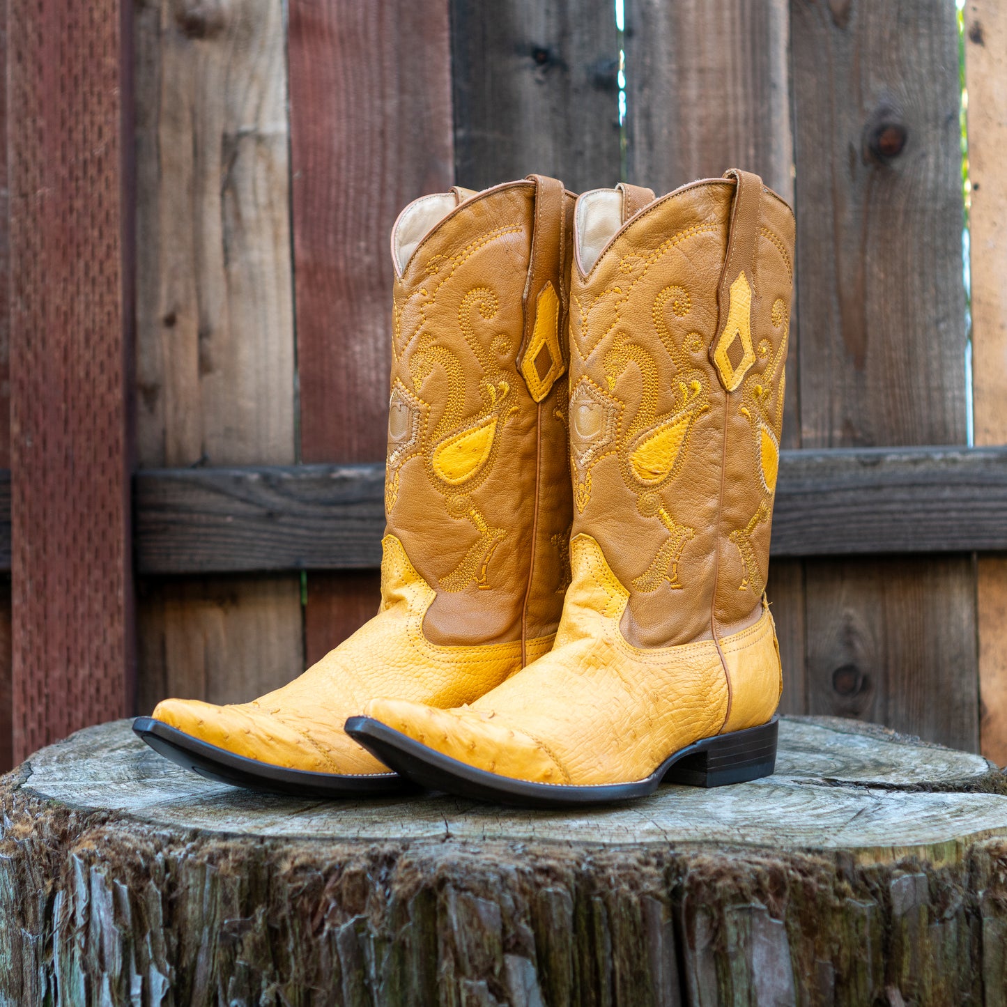 Cuadra Men's Ostrich Cowboy Boots in Yellow