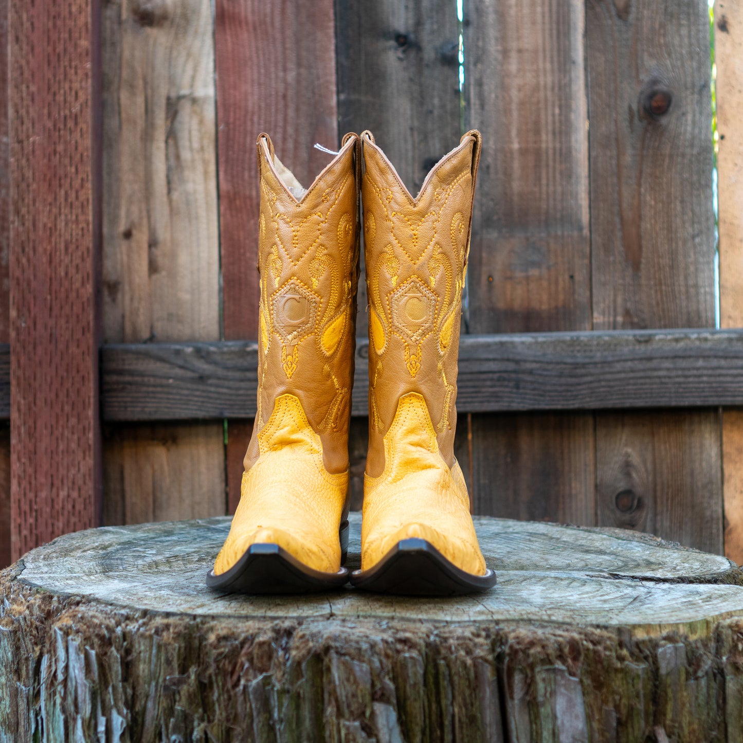 Cuadra Men's Ostrich Cowboy Boots in Yellow