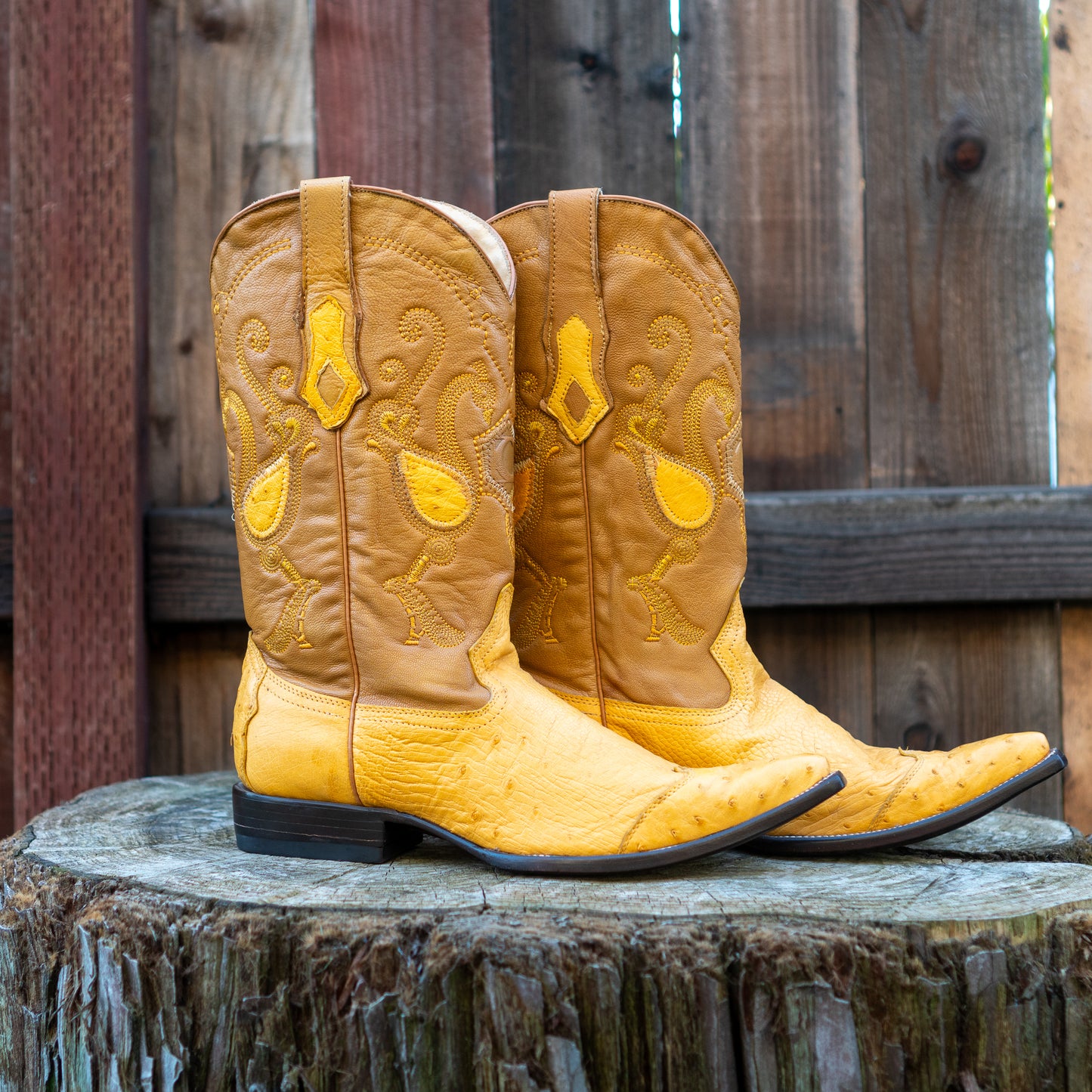 Cuadra Men's Ostrich Cowboy Boots in Yellow