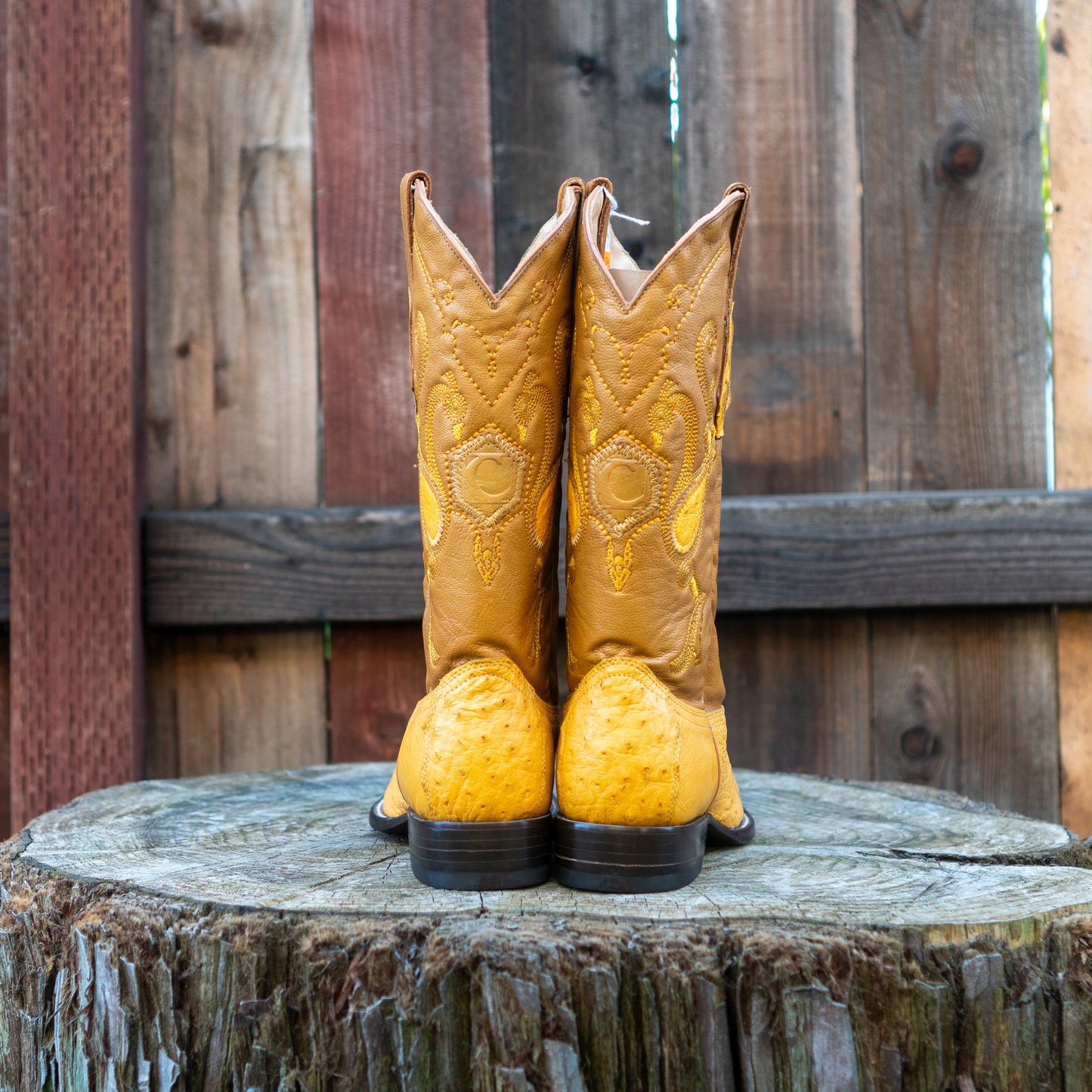 Cuadra Men's Ostrich Cowboy Boots in Yellow