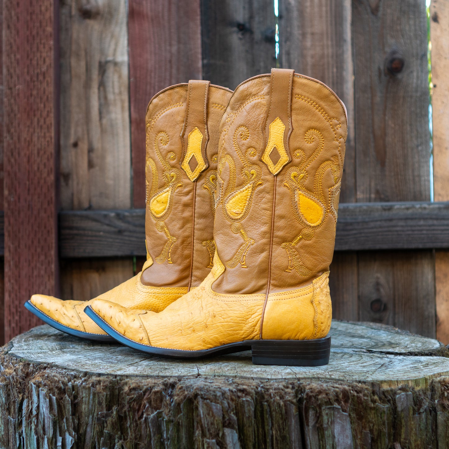 Cuadra Men's Ostrich Cowboy Boots in Yellow