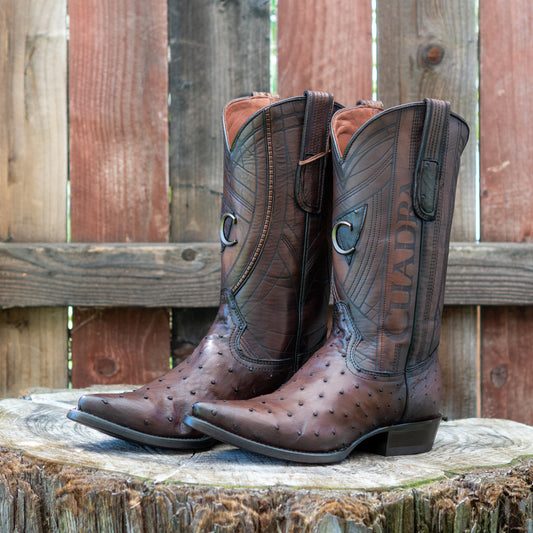 Cuadra Men's Ostrich Laser And Embroidery Snip Toe Cowboy Boots in Flame Chocolate
