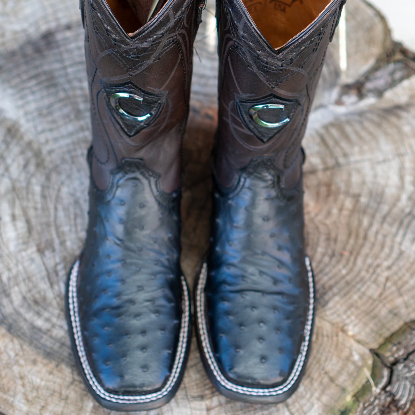 Cuadra Men's Ostrich Laser And Embroidery Square Toe Cowboy Boots in Black