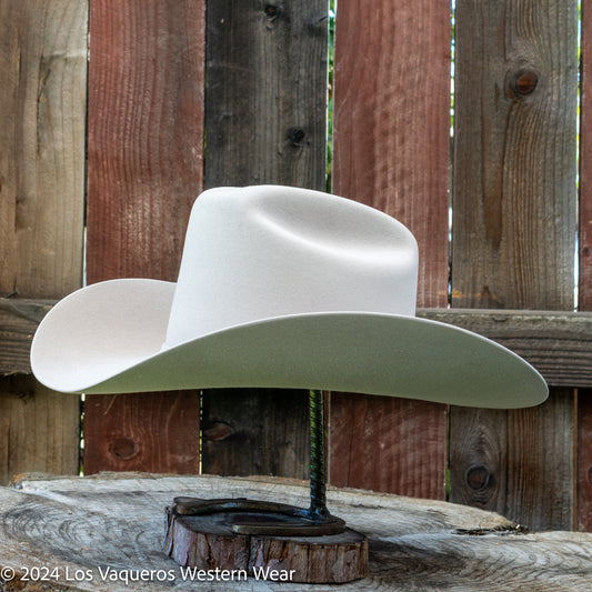 Stetson Palacio II 6x Felt Cowboy Hat Silverbelly