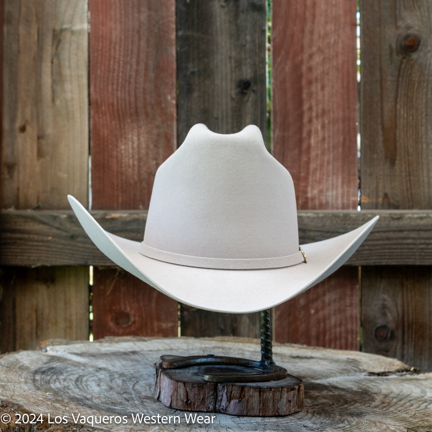 Stetson Palacio II 6x Felt Cowboy Hat Silverbelly