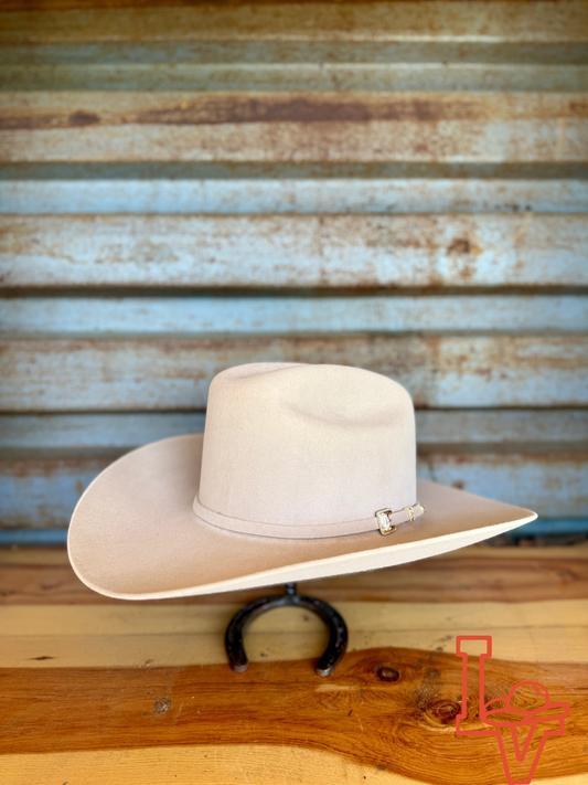 Stetson 6x Guadalupana Felt Cowboy Hat Silverbelly
