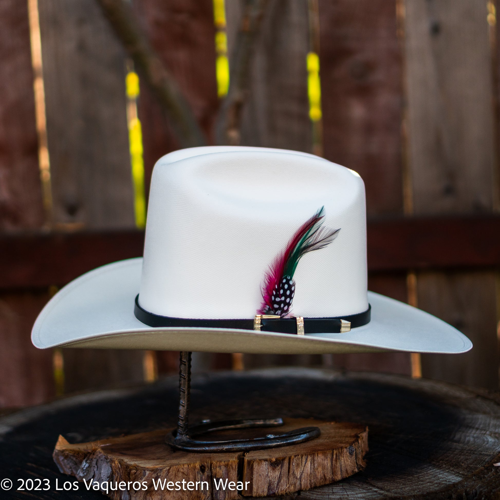 Vaquero con sombrero blanco fotografías e imágenes de alta