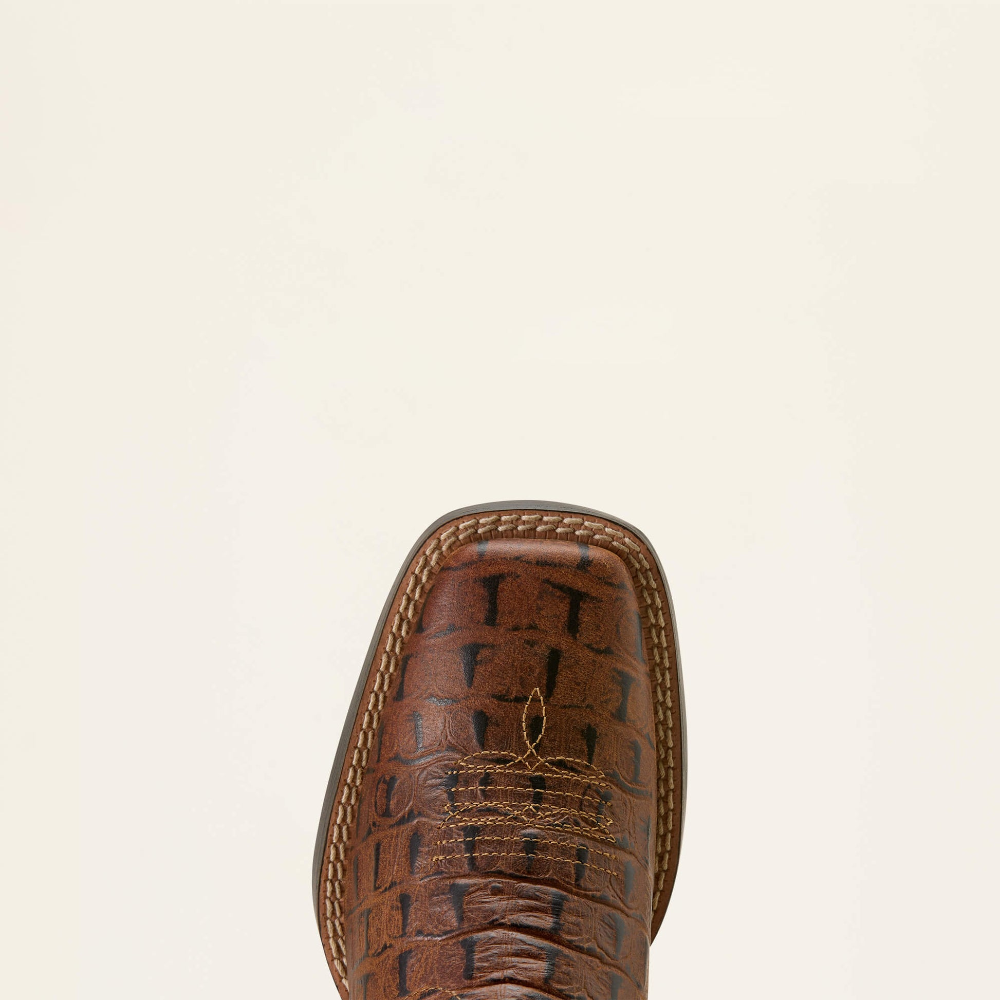 BROWN CROCODILE PRINT|NAVY