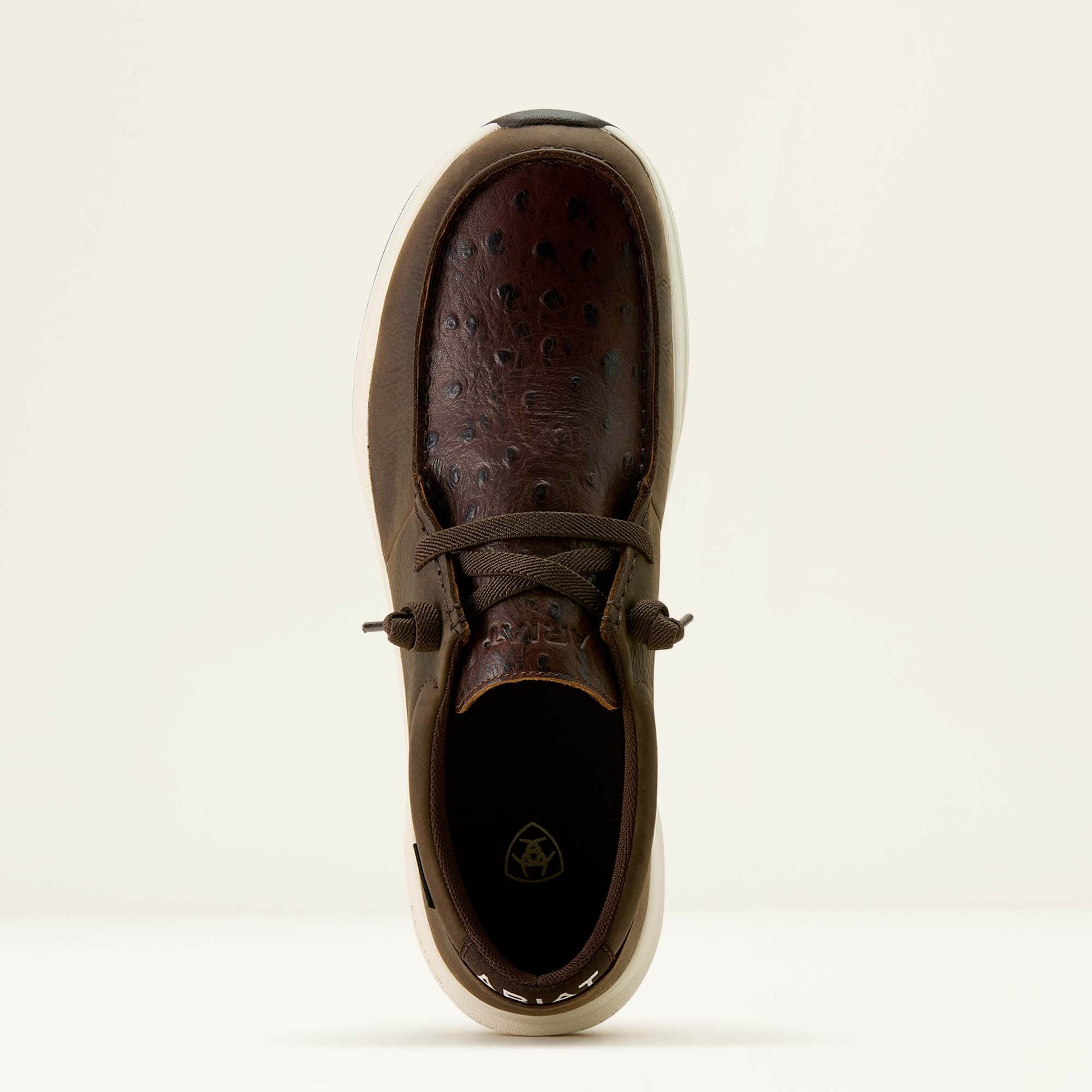 DARK CHOCOLATE|CHOCOLATE FULL QUILL OSTRICH P