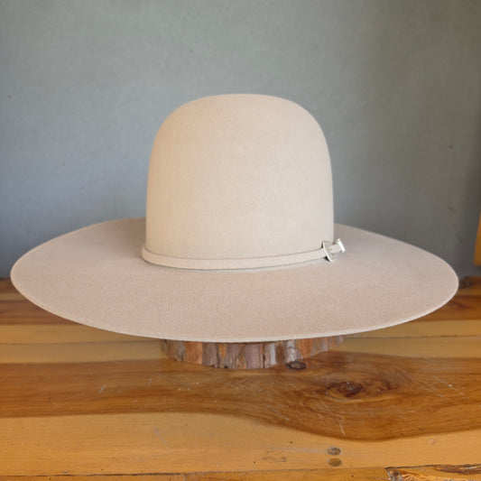 Stetson Skyline 6x Felt Cowboy Hat Open Regular Crown Silverbelly